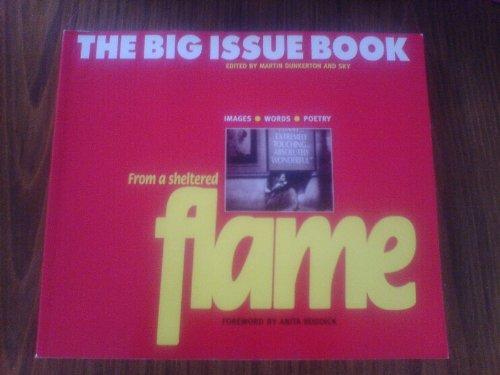 From a Sheltered Flame: The "Big Issue" Book