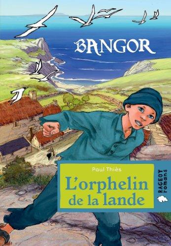 Bangor. L'orphelin de la lande