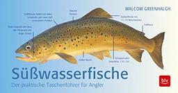 Süßwasserfische: Der praktische Taschenführer für Angler (BLV)