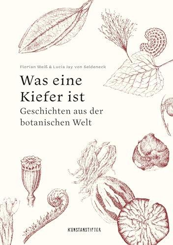 Was eine Kiefer ist: Geschichten aus der botanischen Welt