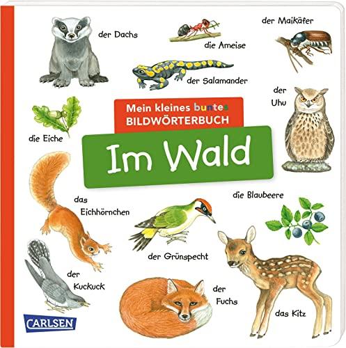 Mein kleines buntes Bildwörterbuch: Im Wald: Sprachförderung, die Neugier weckt und Spaß macht - für Kinder ab 2