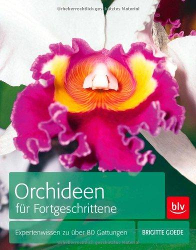 Orchideen für Fortgeschrittene: Expertenwissen zu über 80 Gattungen