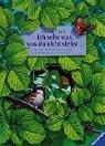 Ich sehe was, was du nicht siehst...: Ein Natur-Bilderbuch mit 26 Türchen zum Hineinschauen und Entdecken