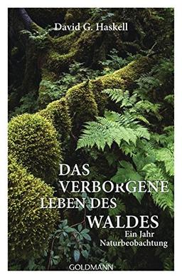 Das verborgene Leben des Waldes: Ein Jahr Naturbeobachtung