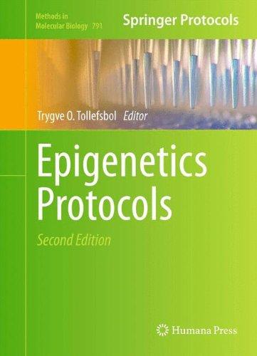 Epigenetics Protocols (Methods in Molecular Biology)