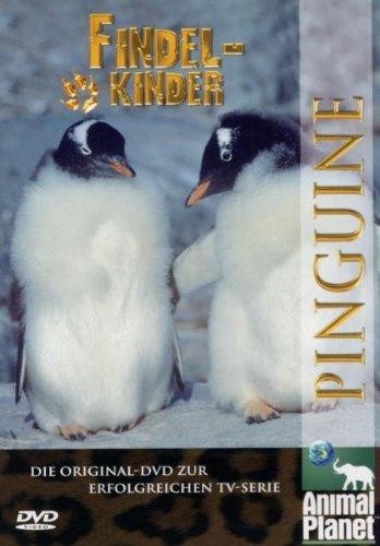 Animal Planet - Findelkinder, Vol. 01: Pinguine