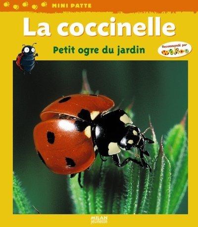 La coccinelle, petit ogre du jardin