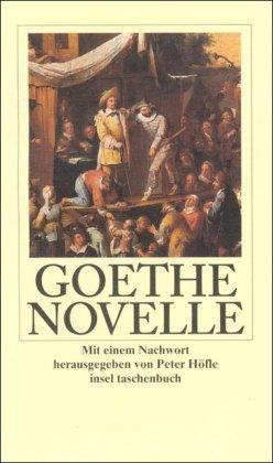 Novelle (insel taschenbuch)