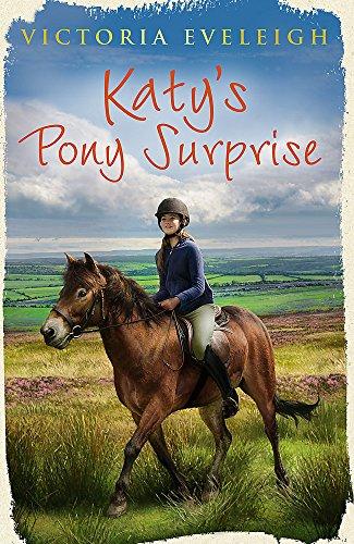 Katy's Exmoor Ponies: Katy's Pony Surprise: Book 3 (Katy's Ponies Trilogy, Band 3)