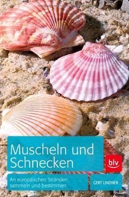 Muscheln und Schnecken: An europäischen Stränden sammeln und bestimmen