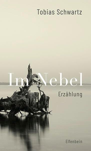 Im Nebel: Erzählung