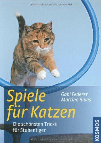 Spiele für Katzen: Die schönsten Tricks für Stubentiger