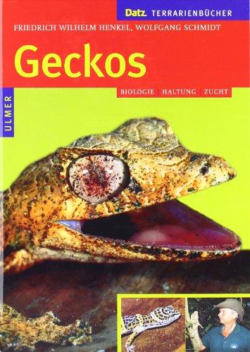 Geckos: Biologie, Haltung und Zucht