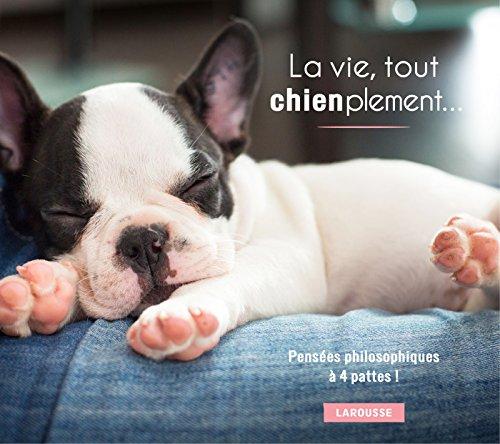 La vie, tout chienplement...