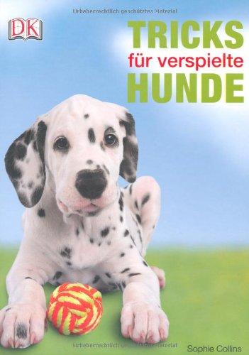 Tricks für verspielte Hunde