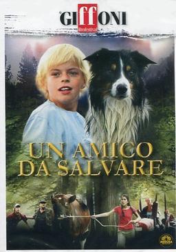 Un amico da salvare [IT Import]