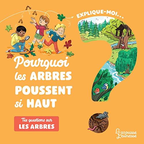 Explique-moi... Pourquoi les arbres poussent si haut : tes questions sur les arbres