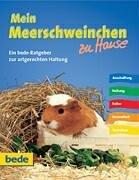 Meerschweinchen, zu Hause