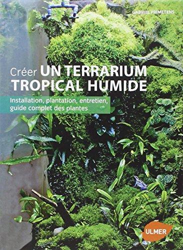 Créer un terrarium tropical humide : installation, plantation, entretien, guide complet des plantes