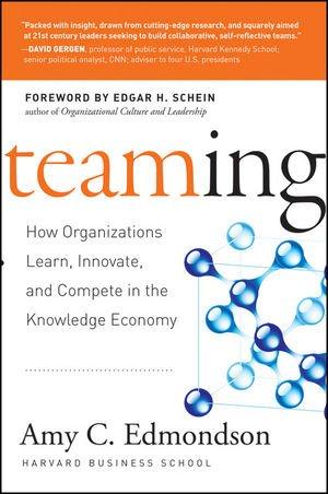 Teaming: How Organizations Learn, Innovate, and Compete in the Knowledge Economy: What Leaders Must Do to Foster Organizational Learning