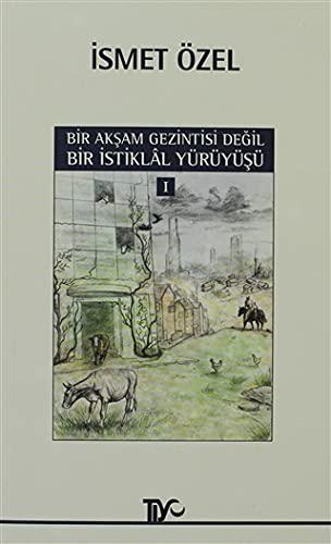 Bir Aksam Gezintisi Degil Bir Istiklal Yuruyusu 1