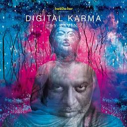 Digital Karma