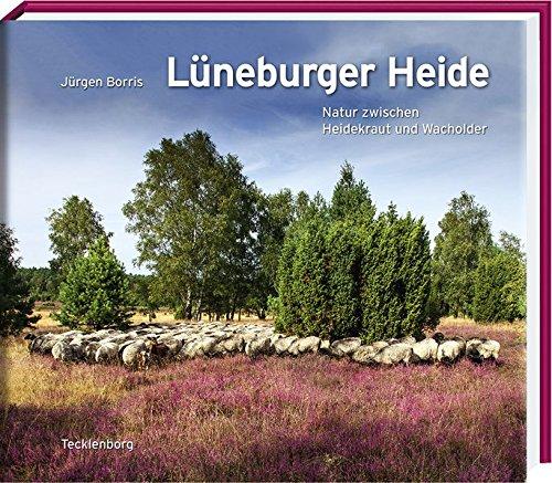 Lüneburger Heide: Natur zwischen Heidekraut und Wacholder