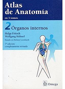 Órganos internos (ANATOMIA)