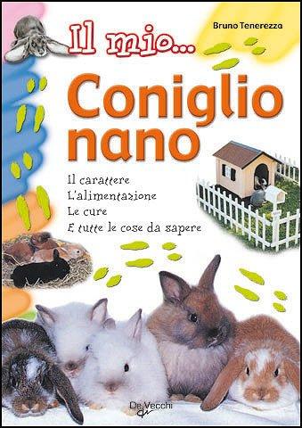 Il mio... coniglio nano