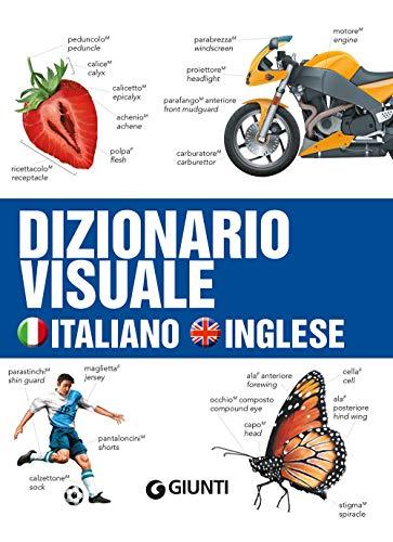 Dizionario visuale. Italiano-inglese (Dizionari e repertori)