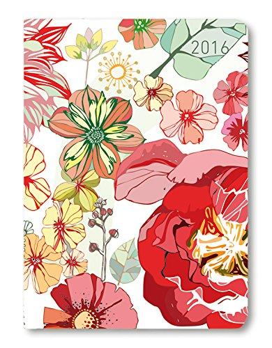 Ladytimer Ringbuch Hummingbird 2024 - Taschen-Kalender A5 (15x21 cm) - Schüler-Kalender - Weekly - Ringbindung - 128 Seiten - Alpha Edition