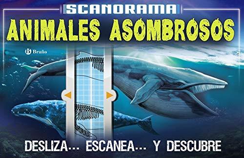 Scanorama. Animales asombrosos (Castellano - A PARTIR DE 8 AÑOS - LIBROS DIDÁCTICOS - Otros libros)