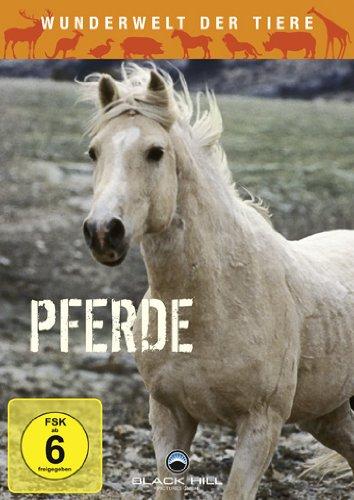 Wunderwelt der Tiere - Pferde