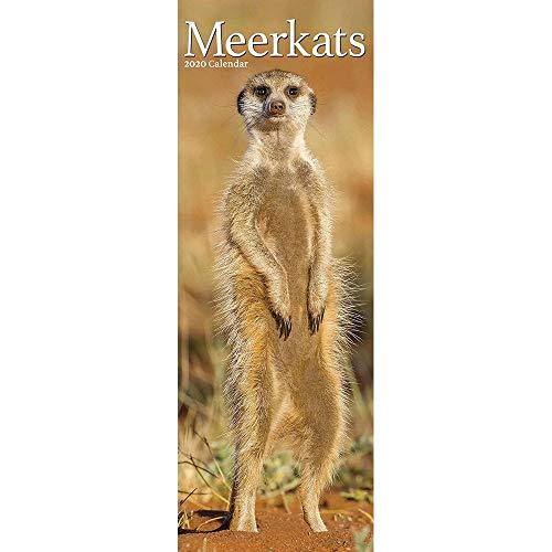 Meerkats Slim Calendar 2020