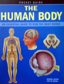 The Human Body: An Essential Guide to How the Body Works (Pocket Guides)