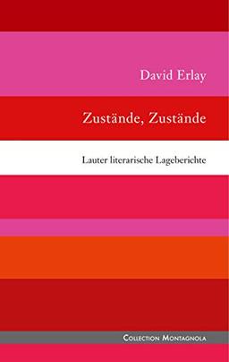 Zustände, Zustände: Lauter literarische Lageberichte (Collection Montagnola)