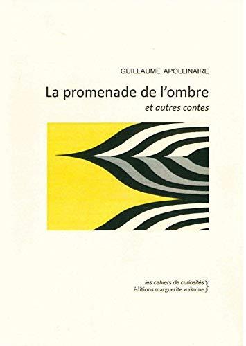 La promenade de l'ombre : et autres contes