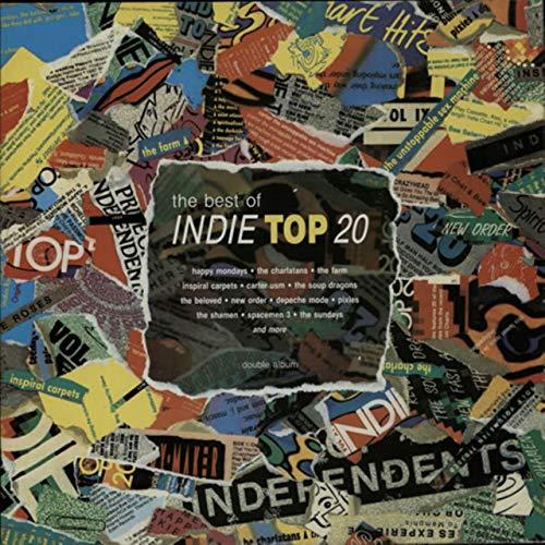 The Best of Indie Top 20 [Vinyl Doppel-LP] [Schallplatte]