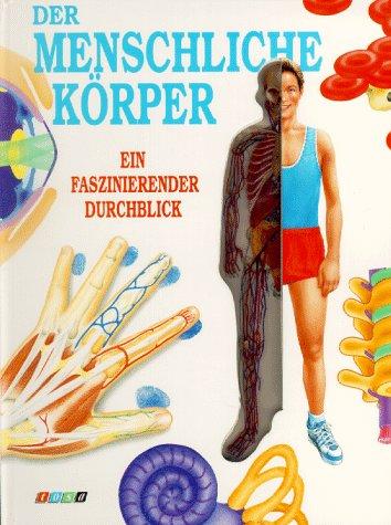 Der menschliche Körper. Ein faszinierender Durchblick