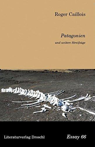 Patagonien und weitere Streifzüge (Essays)