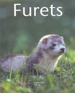 Furets