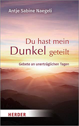 Du hast mein Dunkel geteilt: Gebete an unerträglichen Tagen: Gebete an Unertraglichen Tagen