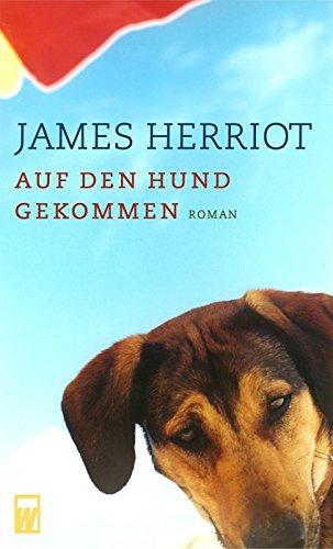 Auf den Hund gekommen