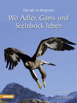 Wo Adler, Gams und Steinbock leben: Das Jahr im Bergrevier