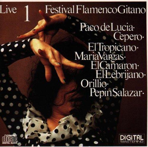 Festival Flamenco Gitano 1 Live