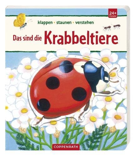 klappen - staunen - verstehen: Das sind die Krabbeltiere