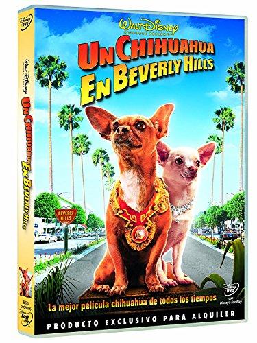 Un Chihuahua en Beverly Hills [Spanien Import]