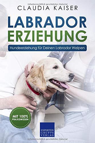 Labrador Erziehung: Hundeerziehung für Labrador Welpen (Labrador Band, Band 1)