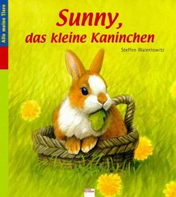 Sunny, das kleine Kaninchen