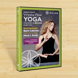 Vinyasa Flow Yoga Session 2 [DVD] [2004] [UK Import]